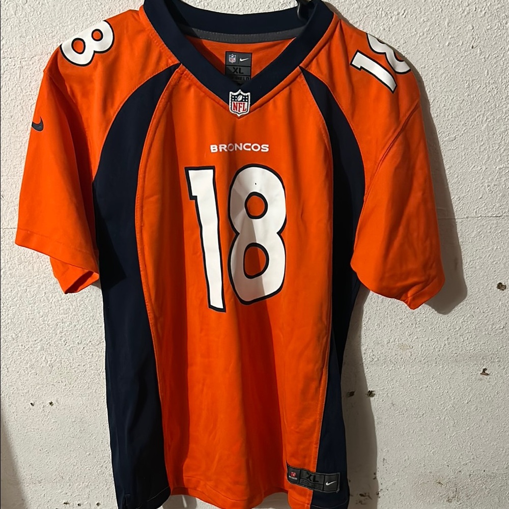Nike Orange and Navy Men's Jersey